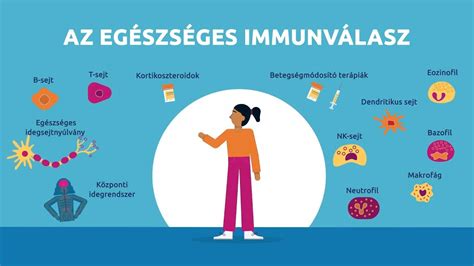 Immunrendszer és terhesség kapcsolata