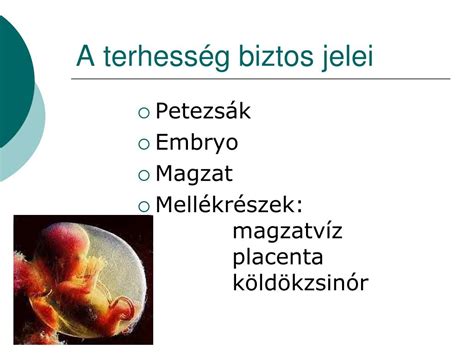 Magzatvíz elfolyásának jelei