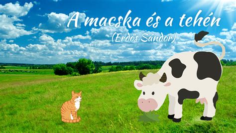 A tehén anatómiája és emésztőrendszere