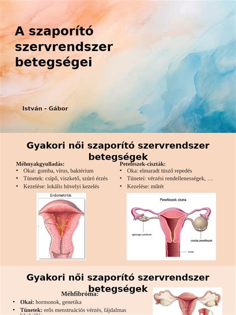 A női kiválasztó szervrendszer