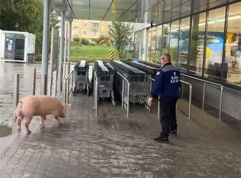 Rendőrségi letartóztatás egy szupermarket előtt