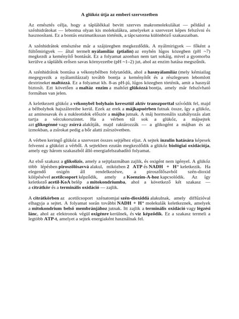A glükóz anyagciklusa a szervezetben