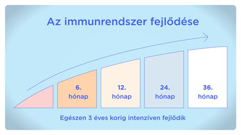 Gyermek immunrendszerének rajza