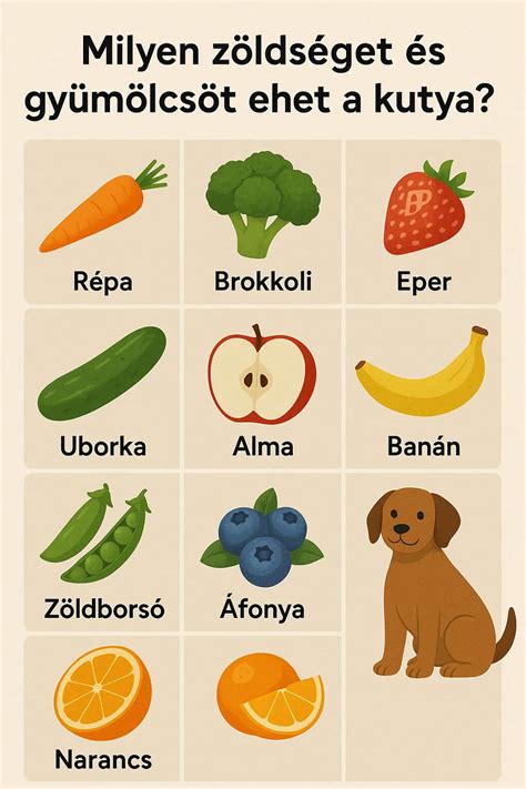 Baba kóstol gyümölcsöt