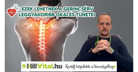 A vetélés gyakori okai infografika
