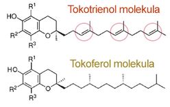 Tokotrienol molekula szerkezete
