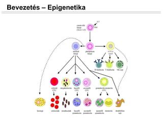 Családtervezés és genetikai vizsgálatok grafikonja
