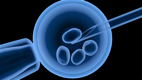 A petesejt megtermékenyítése (in vitro fertilizáció)