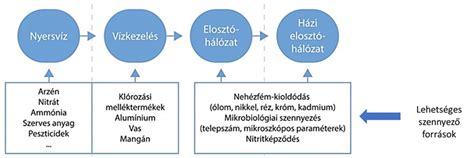 A csecsemő emésztőrendszerének sematikus ábrája