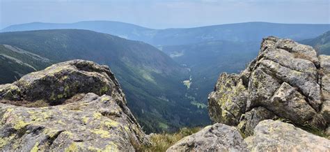 Tündérvilág a természetben