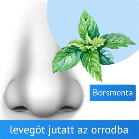 Légzéskönnyítő párna gyógynövényekkel