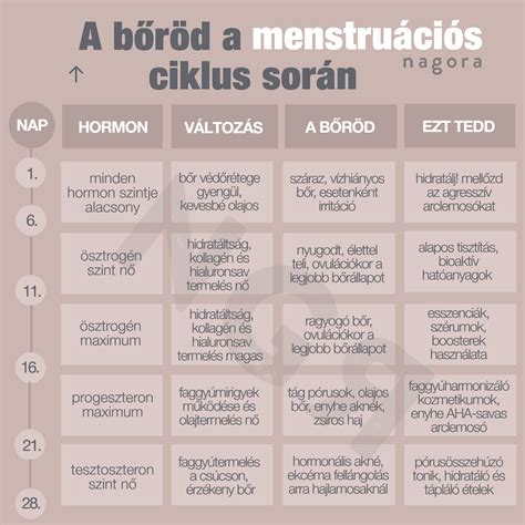 Infografika a menstruációs ciklus fázisairól és a méhszáj változásairól.