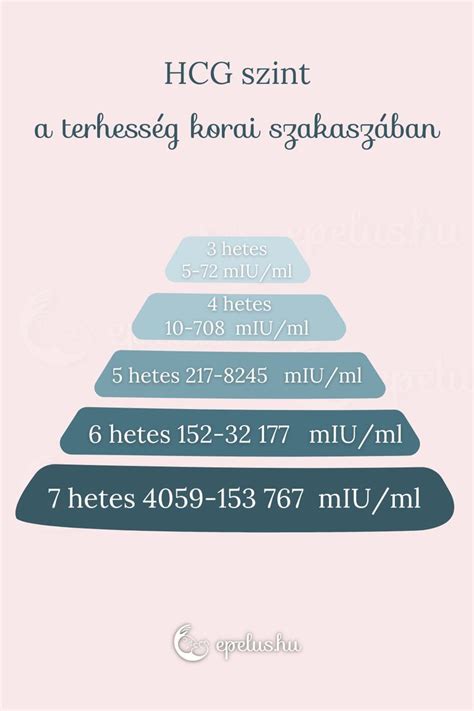 A hCG hormon szintje a terhesség korai szakaszában