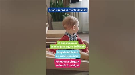 Babák rágófogainak fejlődése
