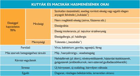 Hasmenés okai és tünetei infografika