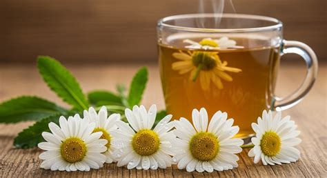 A kamilla tea elkészítésének lépései