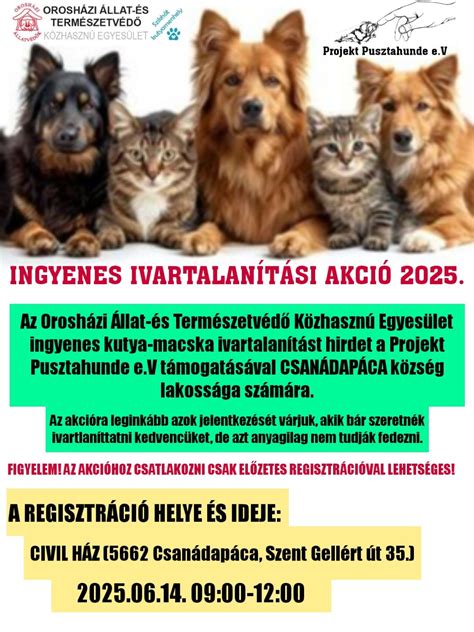 Ivartalanítási kampányok