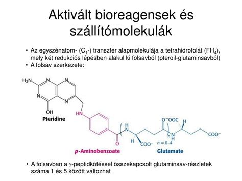 Folsav molekula szerkezete