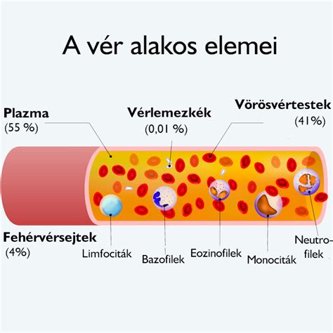 Vérkép összetétele