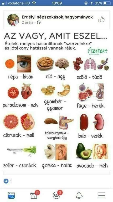 Egészséges étkezés szülés után