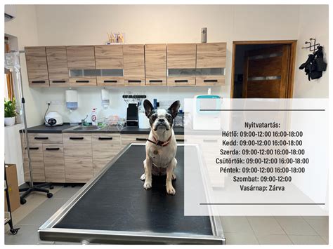 állatorvosi szülészeti klinika