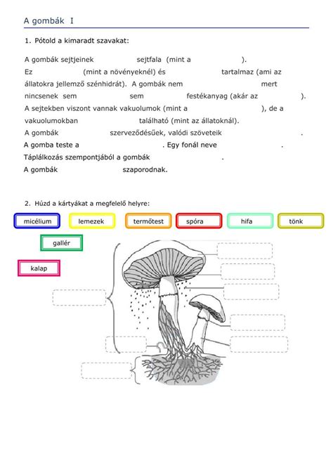 Illusztráció a gombák toxicitásáról