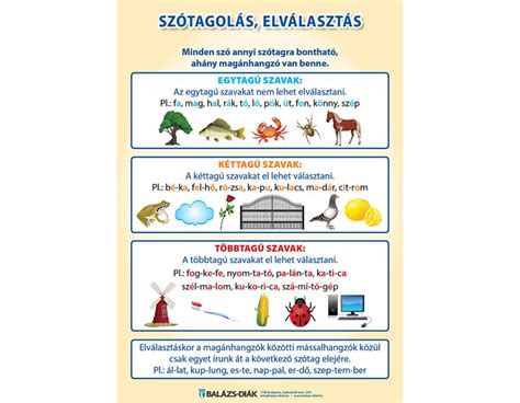 Infografika: Az elválasztódás, apasztás és elválasztás közötti különbségek