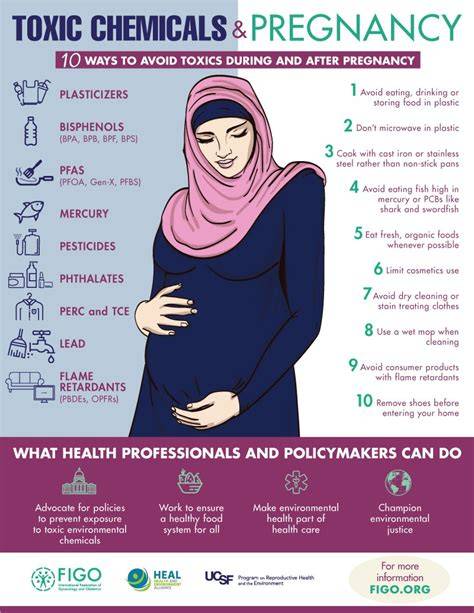 Pregnancy and chemicals infographic