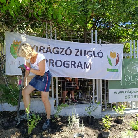 Zugló önkormányzata