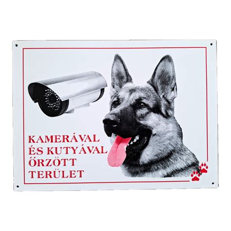 vicces bejelentő tábla kutyával