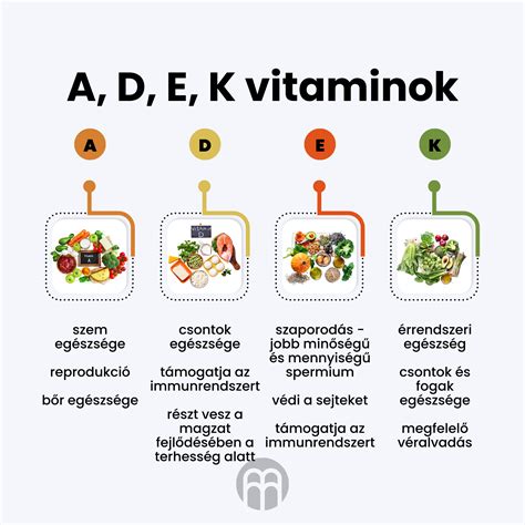 infografika a vitaminok forrásairól és szerepéről