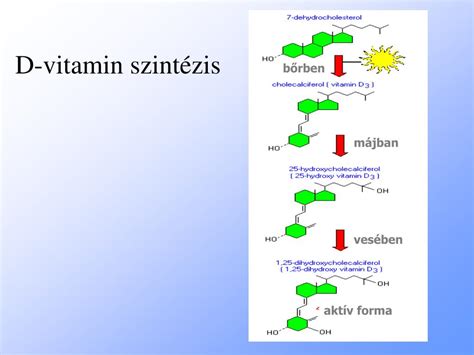 D-vitamin szintézis a bőrben ábra