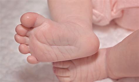 A csecsemő agyi térképe, ahol a száj területe kiemelkedik