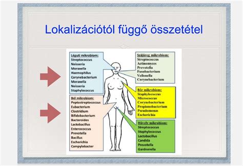 Diagram: A várandósság és gyermekgondozás alatti juttatások időbeli lefolyása