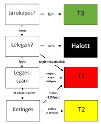 Triázs rendszer fokozatai