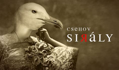 A Csehov Sirály című darabjának színpadi képe
