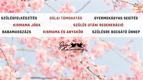 Laktációs szaktanácsadó tanácsadás közben
