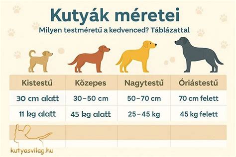 Átlagos kutya alvásmennyiség életkor szerint