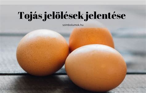 Tojás kódok jelentése