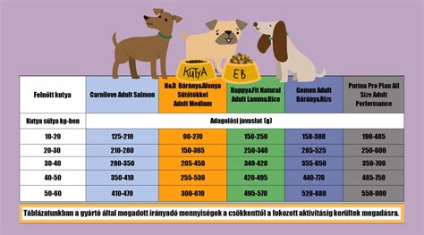 Macska különböző korú etetési táblázat