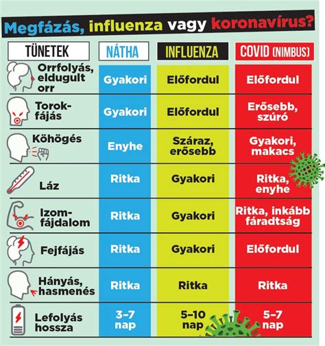 Influenza és terhesség - áttekintő grafika