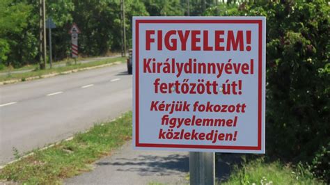 Kerékpárosok az úton