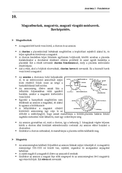 A magzatburok felépítése és a magzatvíz szerepe