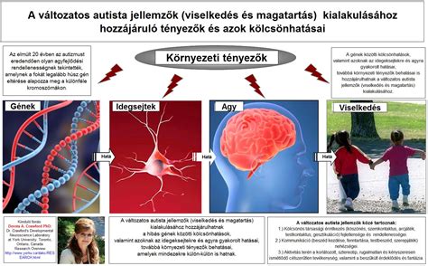 A fogrepedések kialakulásának okai ábra