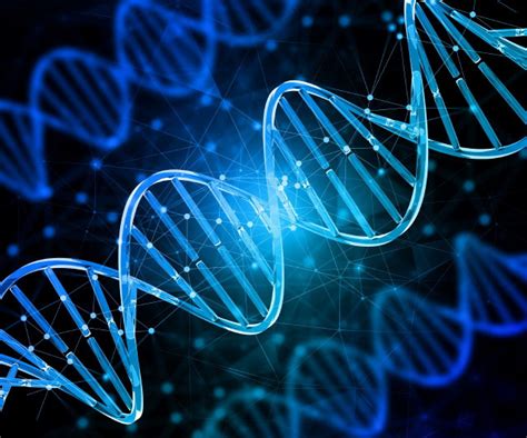 DNS-lánc és mutációk ábrázolása