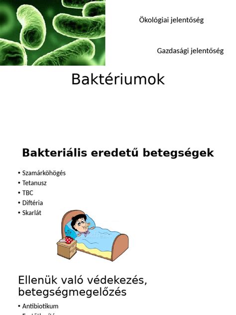 Baktériumok a seben