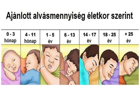 Ajánlott idő a következő terhességig életkor szerint