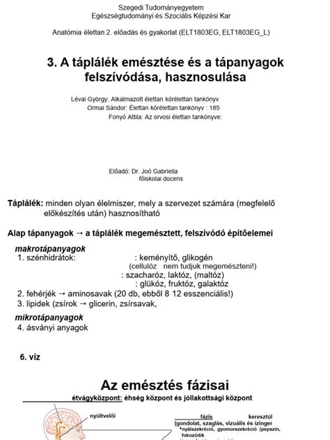 tápanyagok felszívódása és a szervezet működése