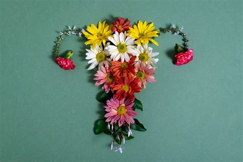 Az endometriózis tüneteinek összefoglaló ábrája