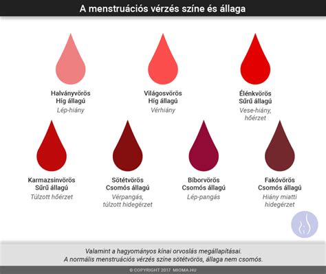 Pecsételő vérzés és áttöréses vérzés illusztrációja